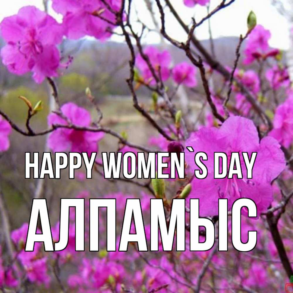 Greetings card с именем, Алпамыс happy women`s day международный женский день Greetings with text for free download 